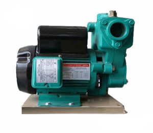 bơm nước chân không wilo pw 1500e