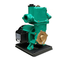 bơm nước chân không Pw 750e